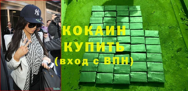 сатива Беломорск