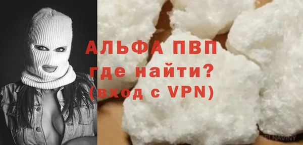 сатива Беломорск
