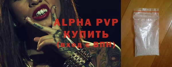 сатива Беломорск