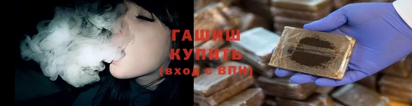 сатива Беломорск