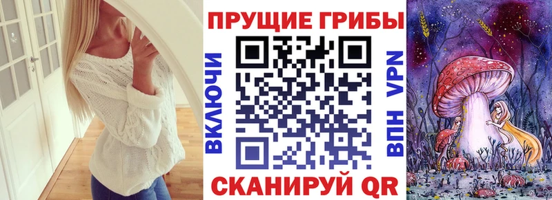 даркнет сайт  Короча  Псилоцибиновые грибы MAGIC MUSHROOMS 