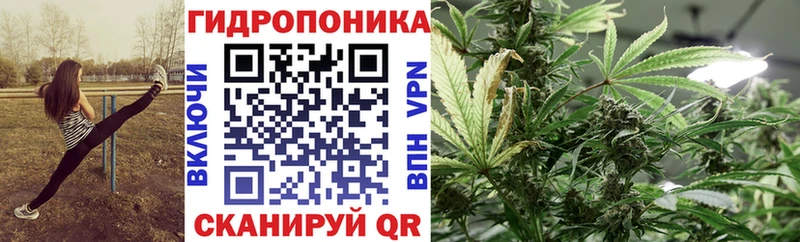 где купить   Короча  гидра зеркало  Канабис White Widow 